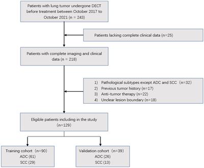 Development and validation of a radiomic nomogram based on pretherapy dual-energy CT for distinguishing adenocarcinoma from squamous cell carcinoma of the lung